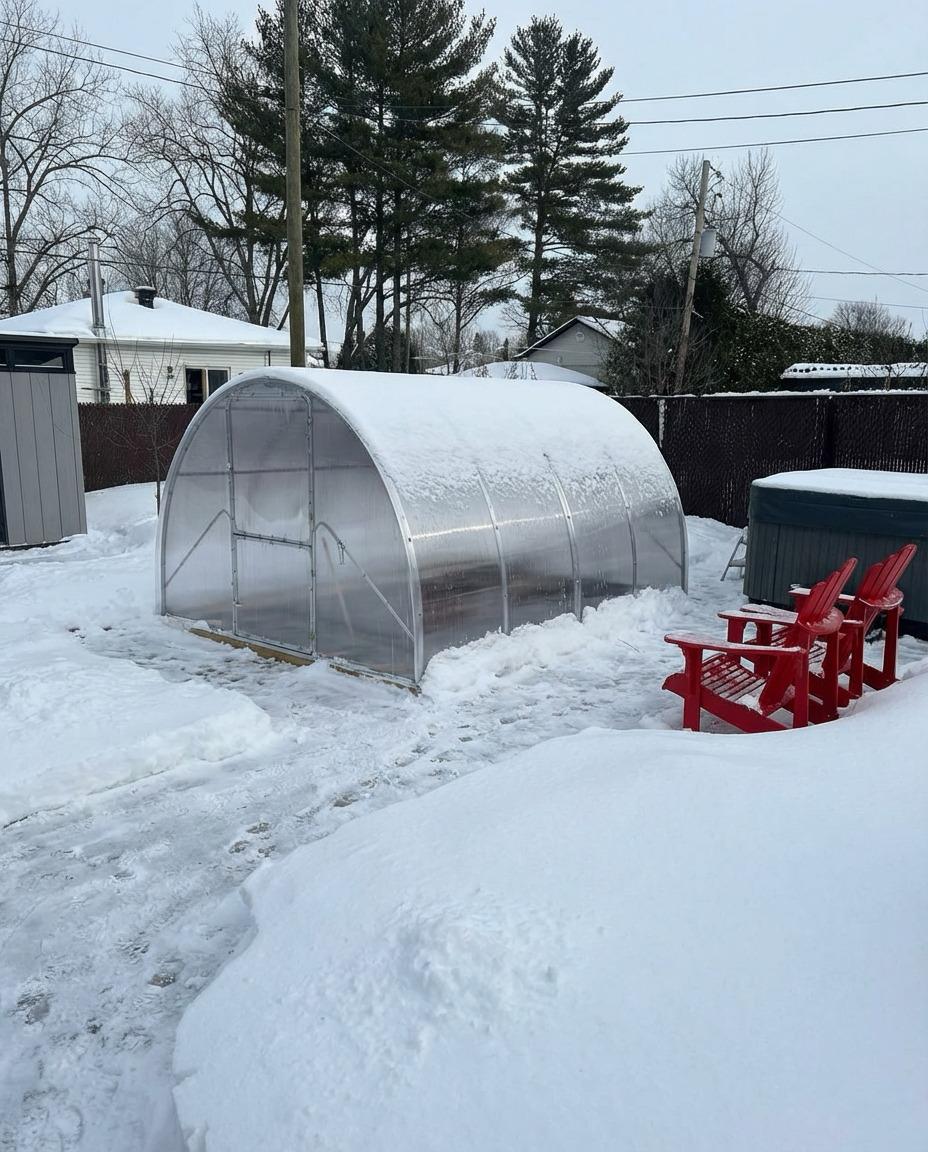 Seră integrată în spațiu real după instalare, vizualizare realistă produs realizată de WSOD.PROD pentru Polyhouse