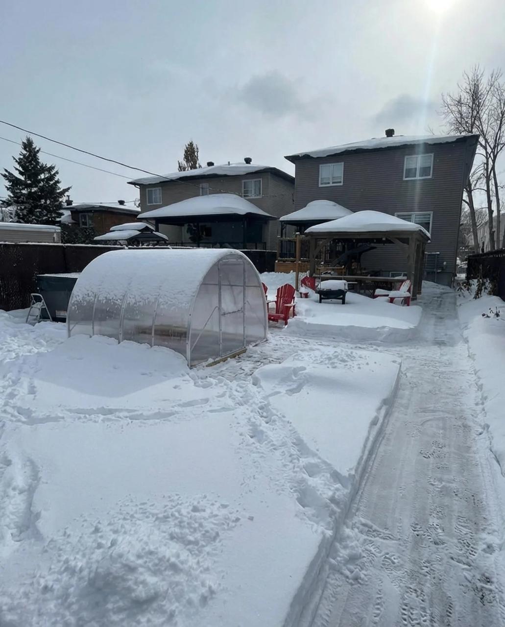 Seră integrată în spațiu real după instalare, vizualizare realistă produs realizată de WSOD.PROD pentru Polyhouse