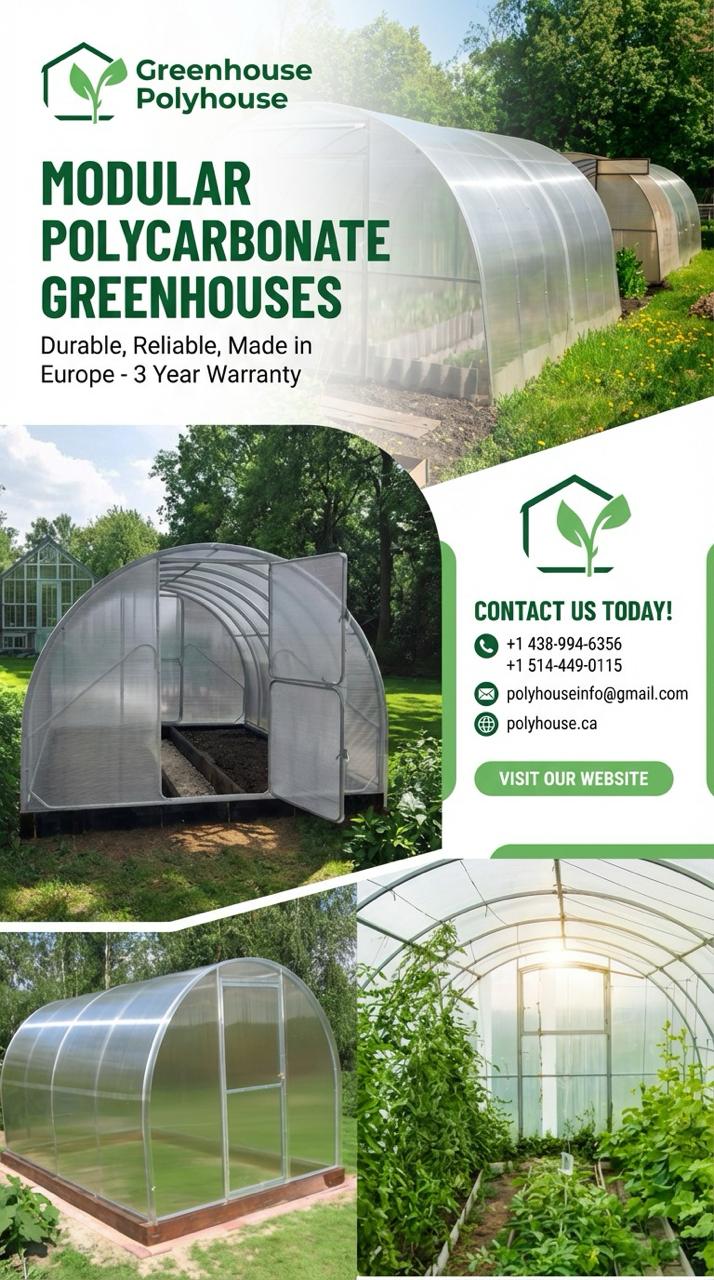 Flyer promoțional pentru Greenhouse Polyhouse realizat de WSOD.PROD