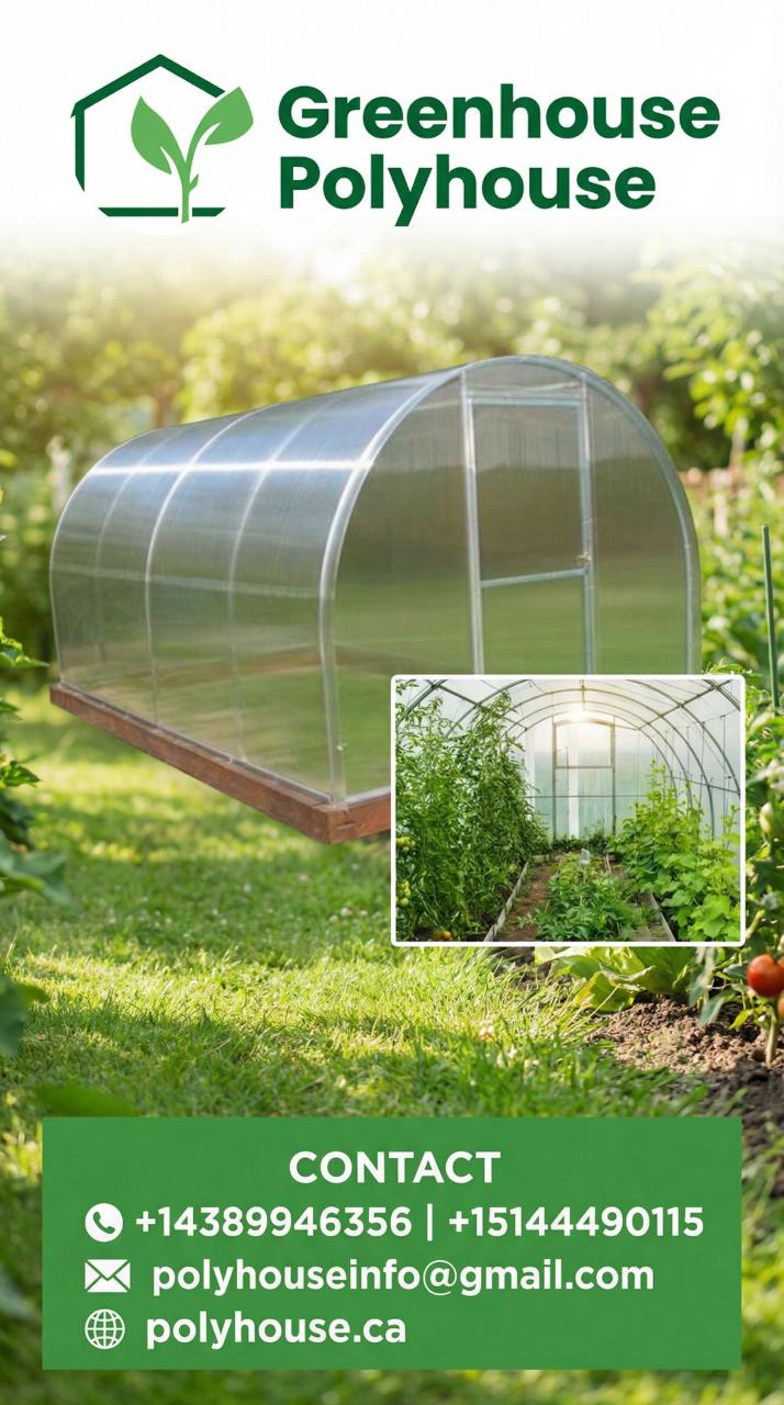 Flyer promoțional pentru Greenhouse Polyhouse realizat de WSOD.PROD