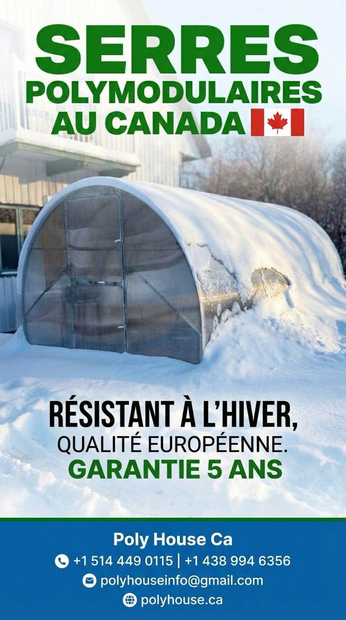Flyer promoțional pentru Greenhouse Polyhouse realizat de WSOD.PROD